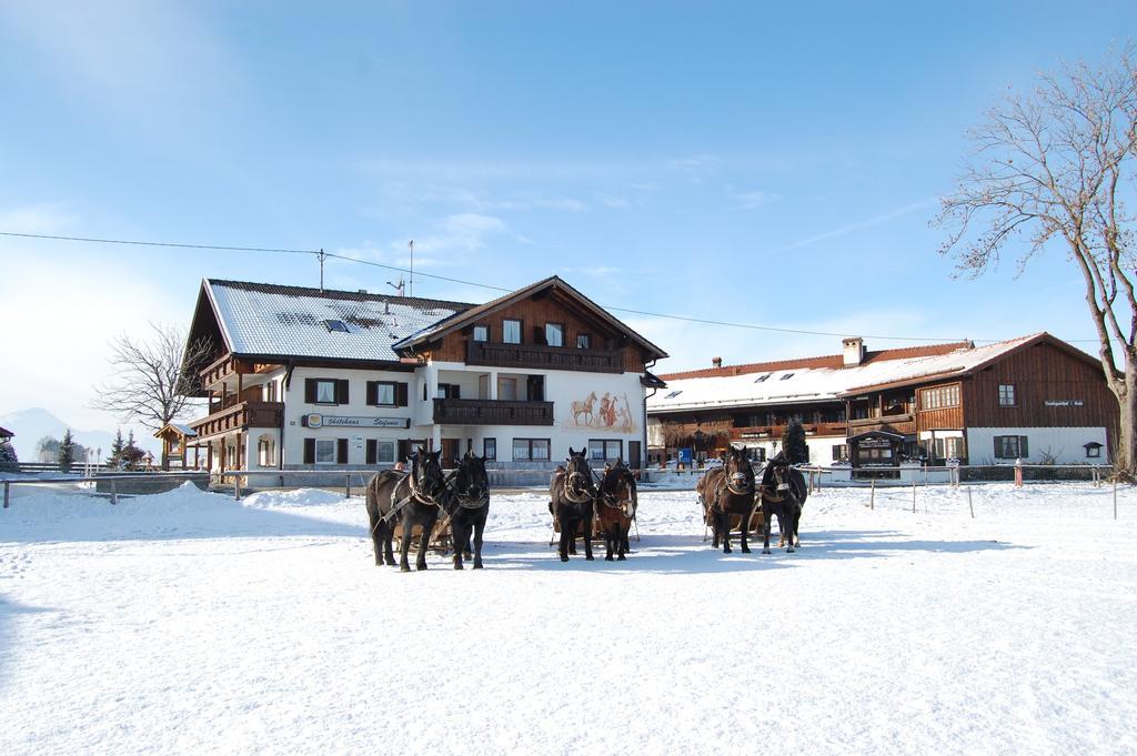 Gaestehaus Stefanie Schwangau Rum bild