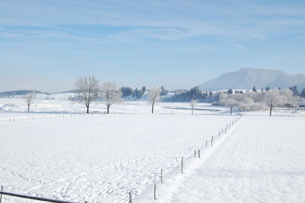 Gaestehaus Stefanie Schwangau Rum bild